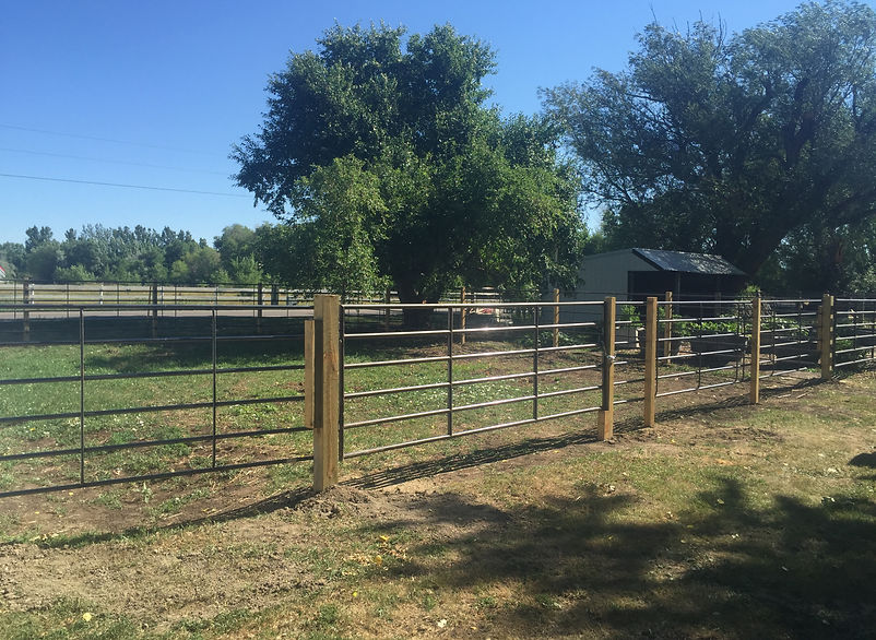 Happy Horse Haus, LLC