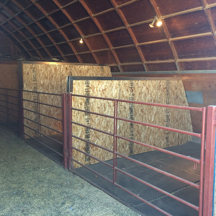 Happy Horse Haus, LLC