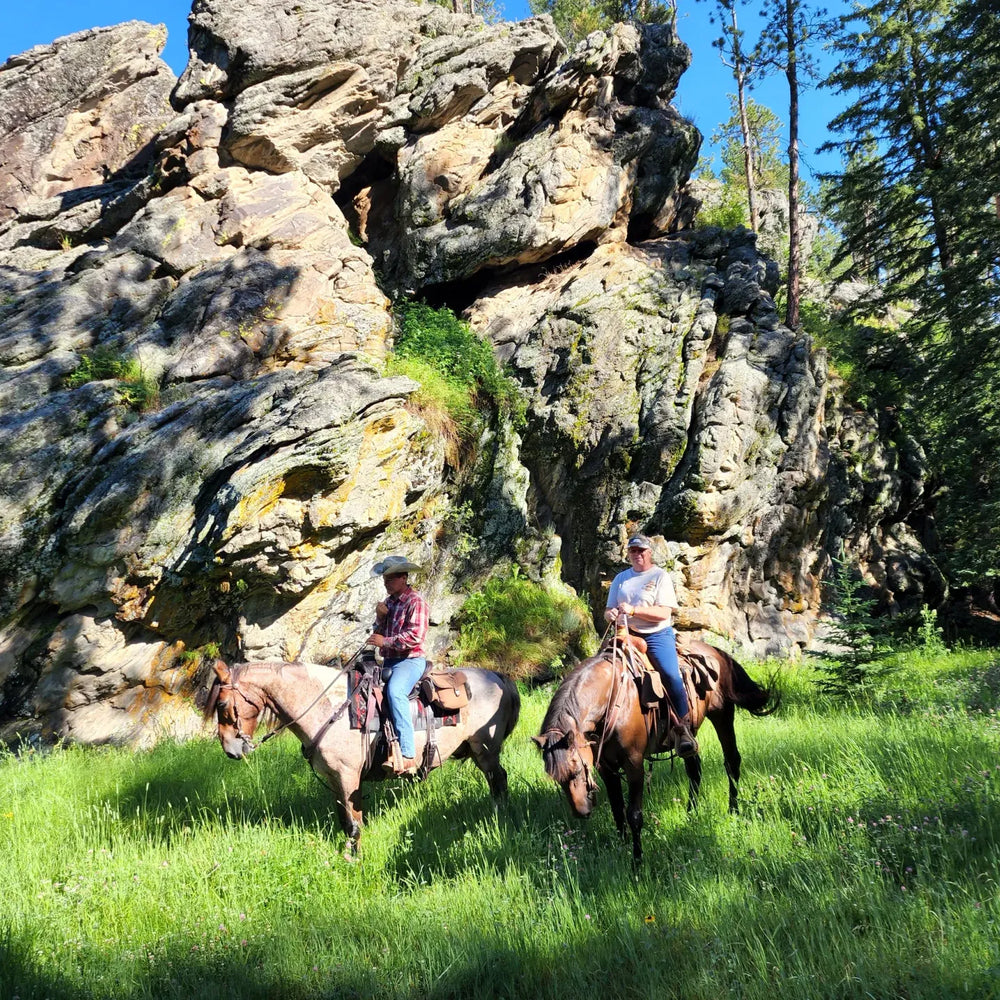 
                      
                        Bridle Ridge Horse & RV Camp
                      
                    