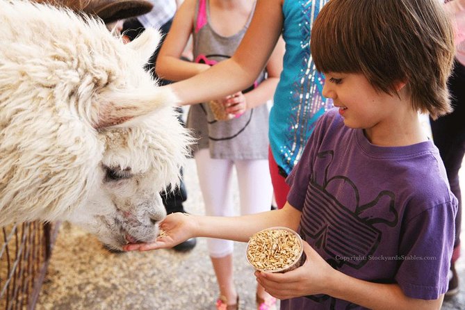 
                      
                        Fort Worth Stockyards Stables and Horseback Riding
                      
                    