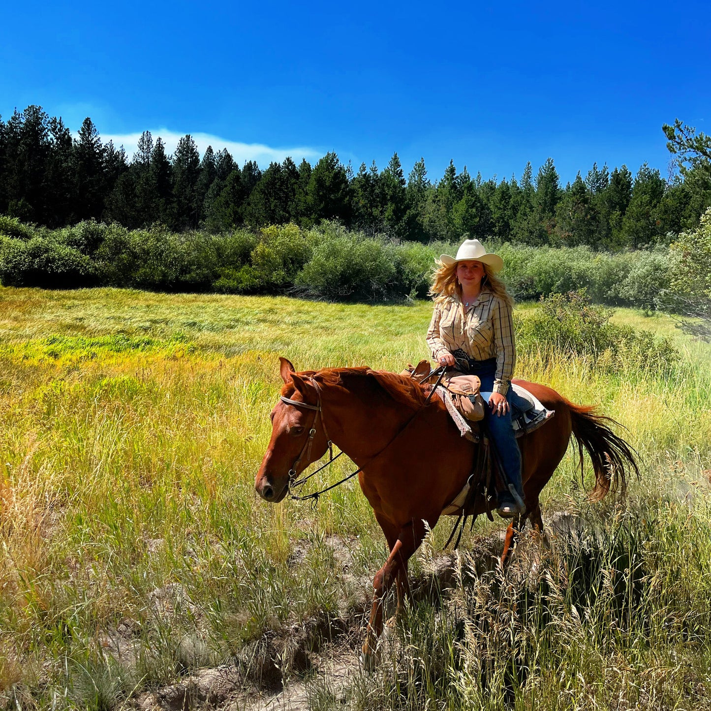Sunriver Stables