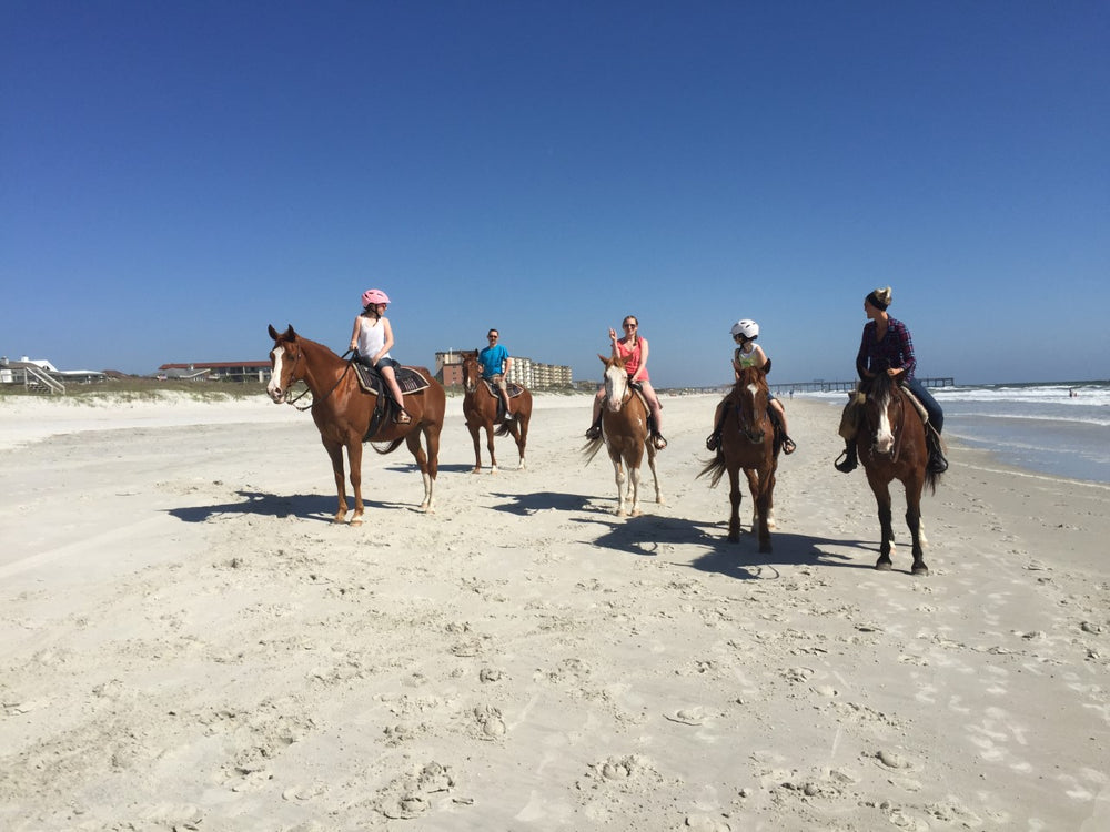 
                      
                        Amelia Island Horse Back Riding
                      
                    