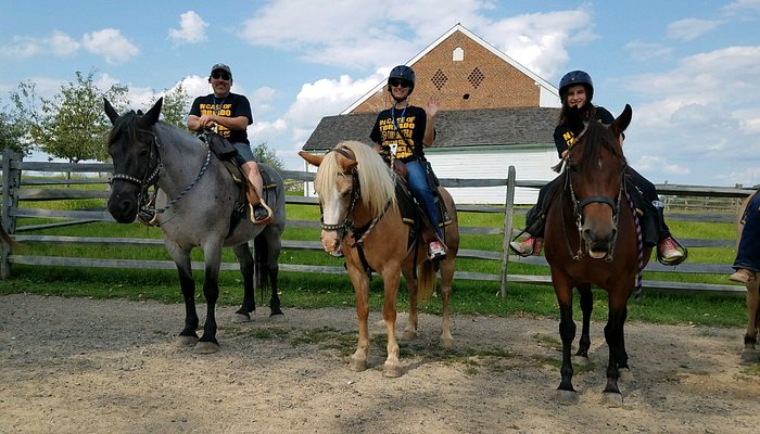 
                      
                        Hickory Hollow Horse Farm
                      
                    