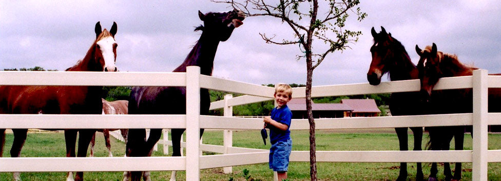 
                      
                        SisterCreek Ranch
                      
                    