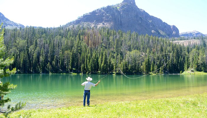 
                      
                        Specimen Creek Outfitters
                      
                    