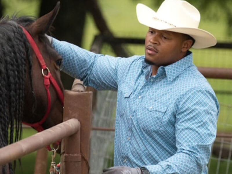
                      
                        The Stables at Cedars of Lebanon
                      
                    