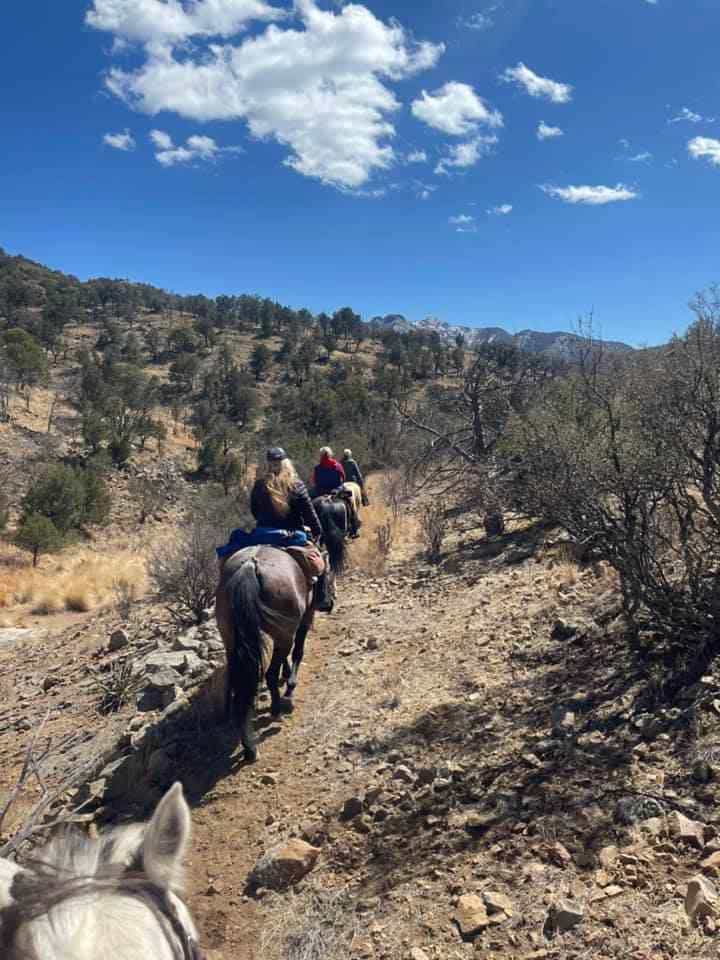 
                      
                        Lazy Horse Ranch
                      
                    