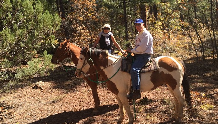 Pinetop Lakes Activity Center & Stables