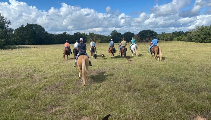 Holistic Horseback Riding Center