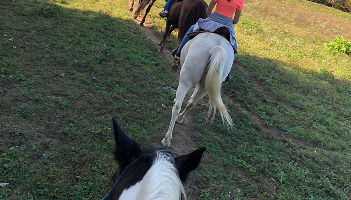 
                      
                        Deer Run Stable
                      
                    