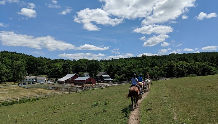 K&K Equestrian Center