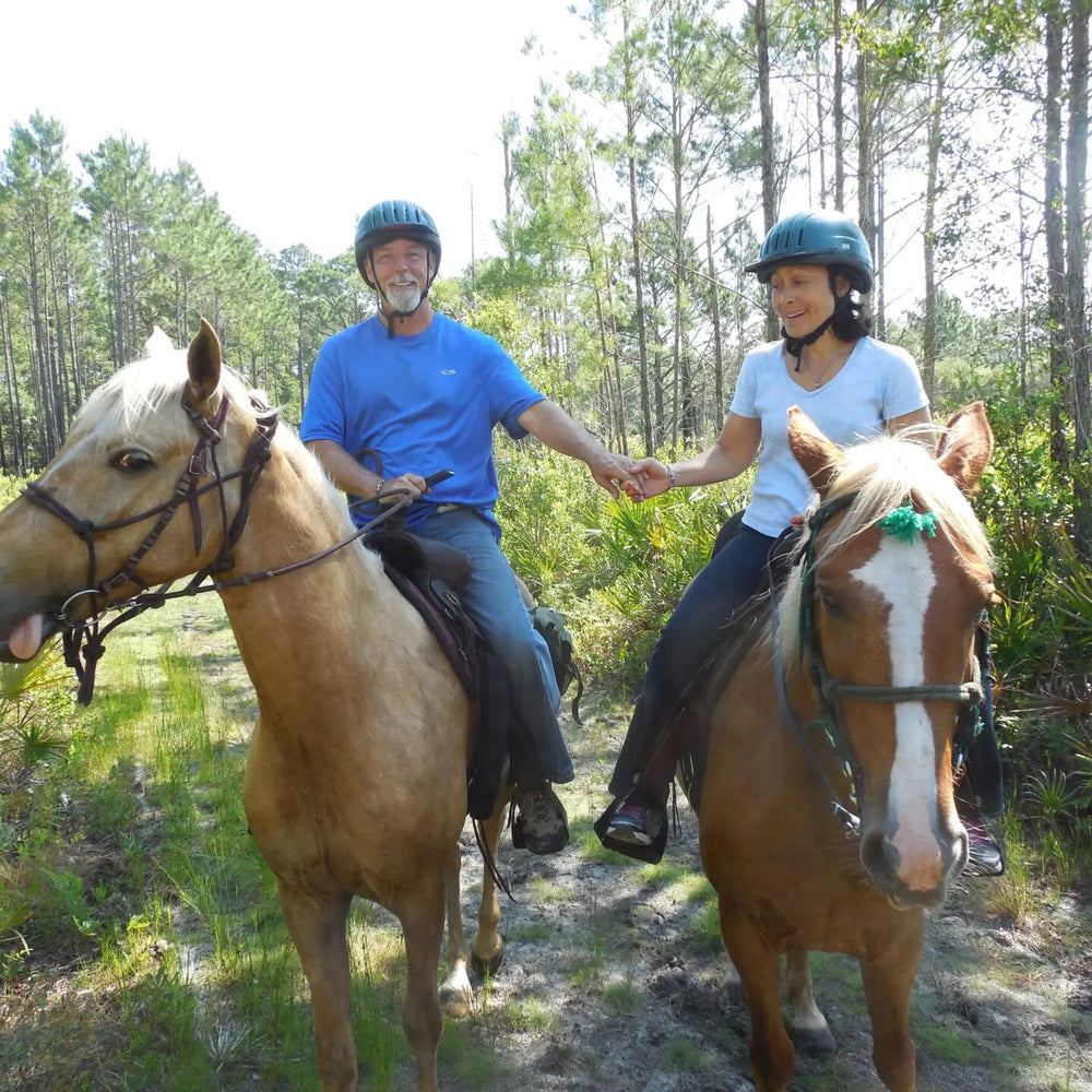 
                      
                        Amelia Island: Beach Horseback Riding Adventure
                      
                    