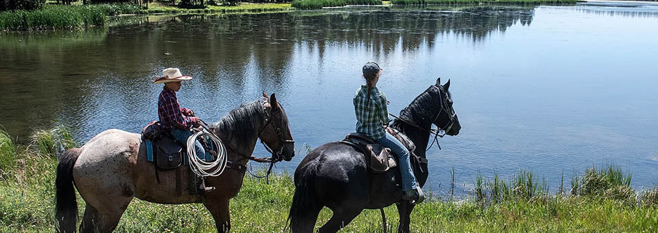 
                      
                        Dry Ridge Outfitters: Wyoming and Idaho Horseback Riding Adventures
                      
                    