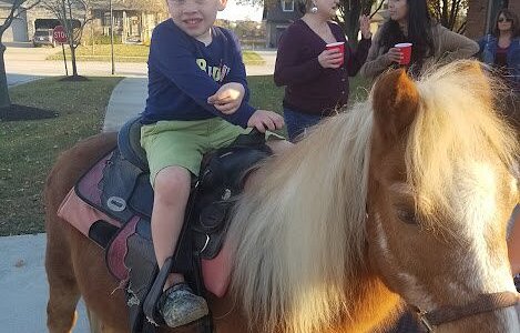 
                      
                        Sarah's Pony Rides
                      
                    