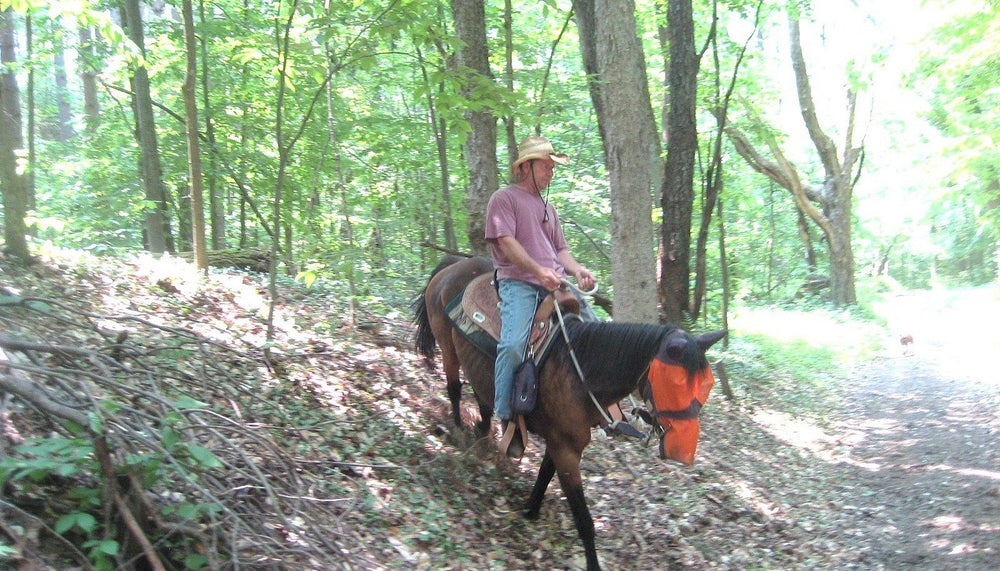 Adventure Horse Riding in NYS