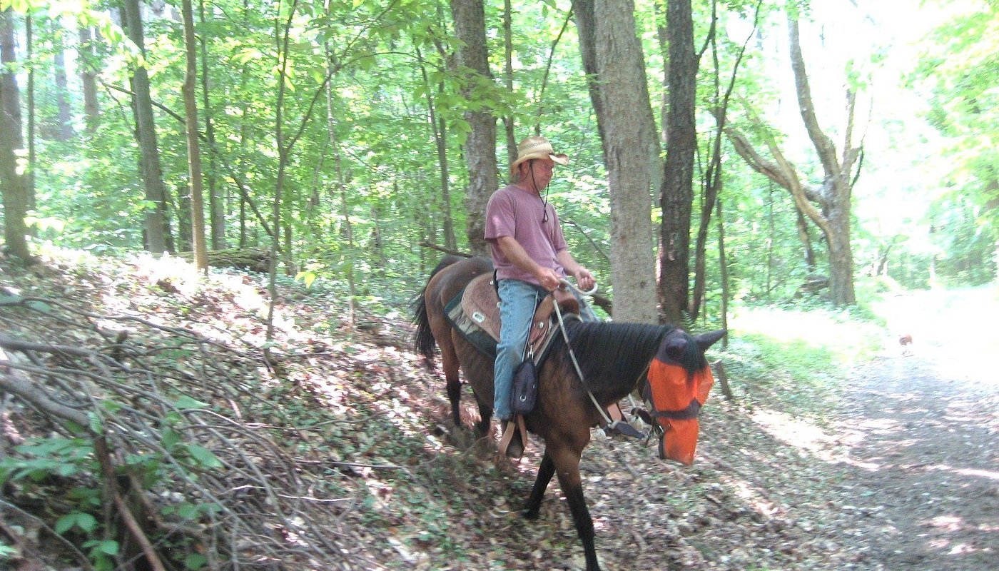 Adventure Horse Riding in NYS