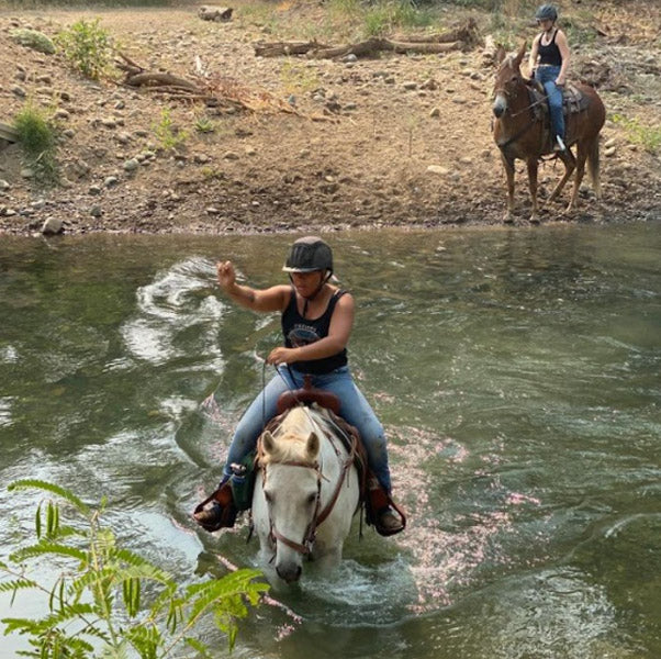 NorCal Trail Rides