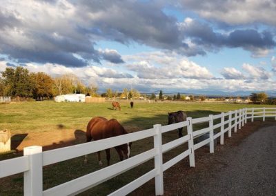 
                      
                        NorCal Trail Rides
                      
                    