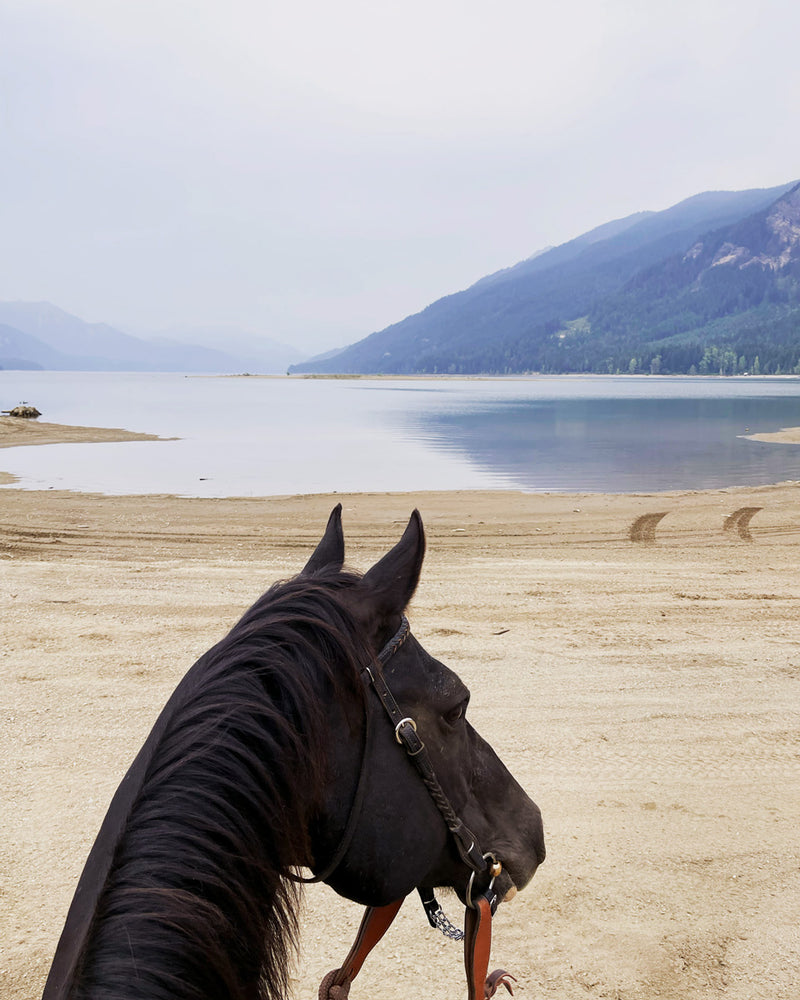 The Wooden Horse Llc