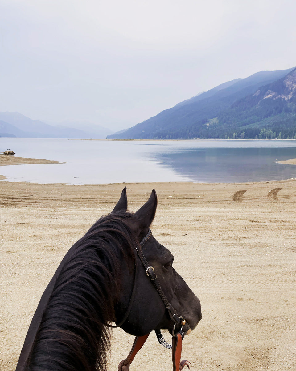 The Wooden Horse Llc