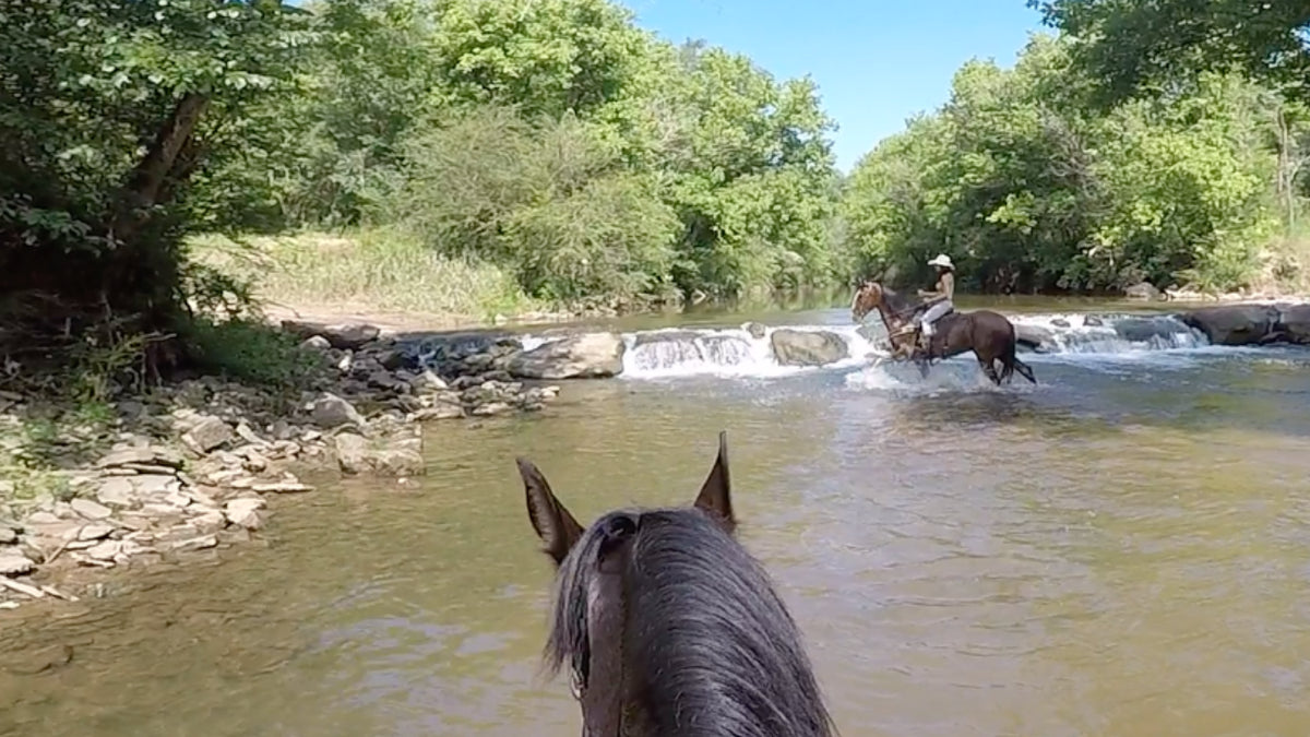 Horseback riding by mini waterfall in Hoover AL