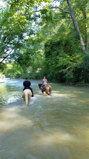 Horseback trail ride near Birmingham Alabama