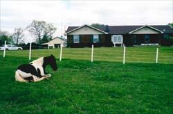 Circle B Ranch - MO