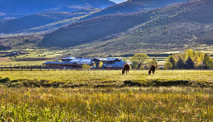 Rhodes Valley Outfitters