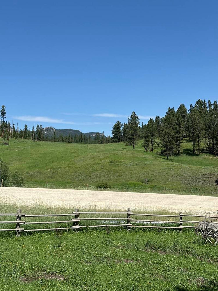 
                      
                        Castle Creek Horse Cabins
                      
                    