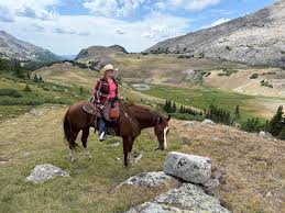 The Bighorn National Forest -Battle Park