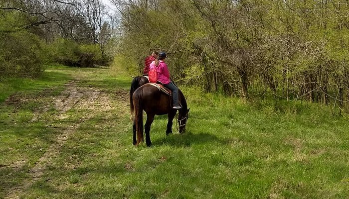 
                      
                        Trails End Ranch
                      
                    