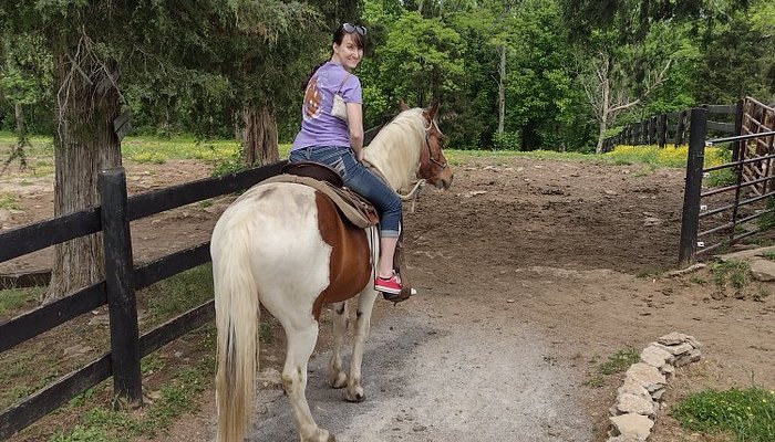 
                      
                        Deer Run Stable
                      
                    