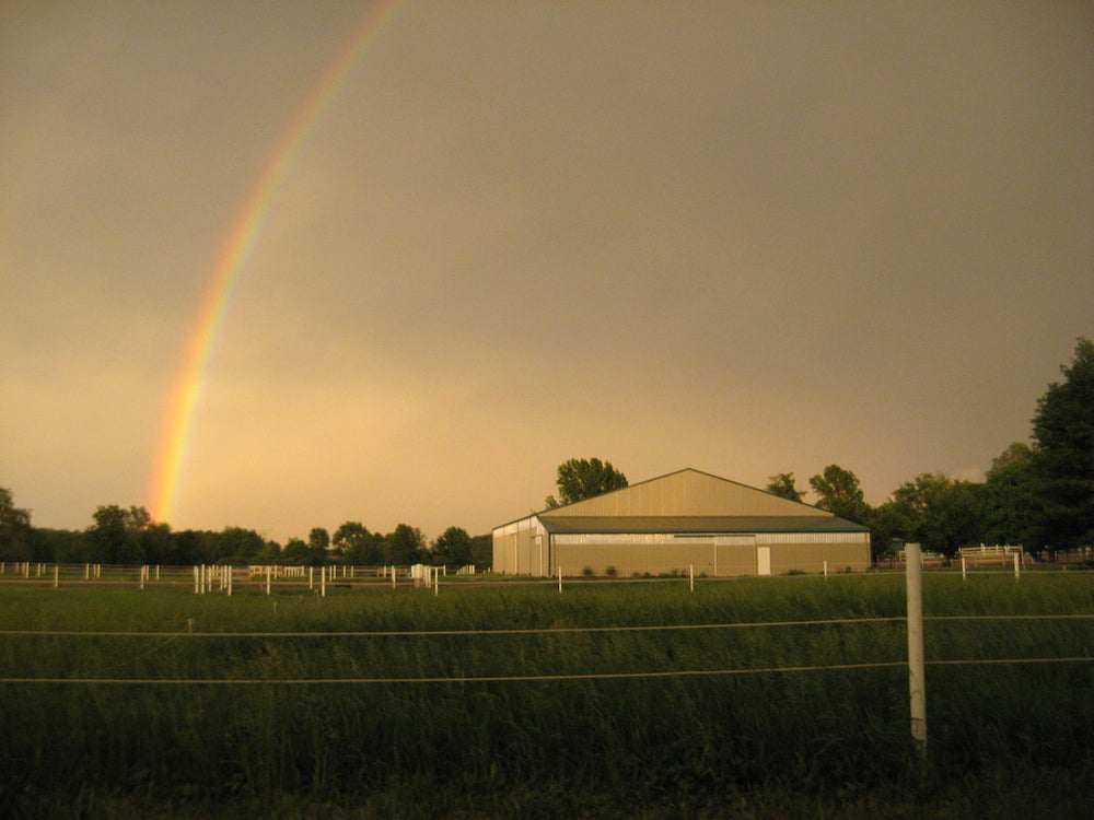 
                      
                        Faith Training Center
                      
                    