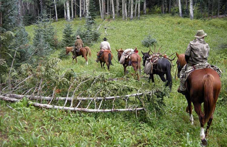 San Francisco River Outfitters