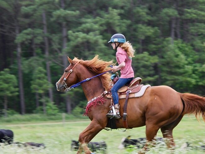 Panther Creek Stables