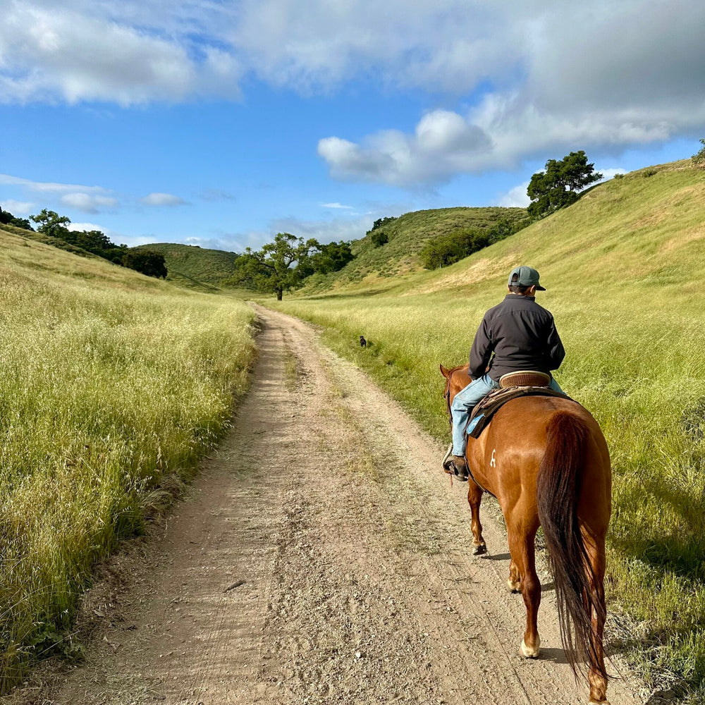 Santa Barbara: Horseback Riding and Wine Tasting Tour