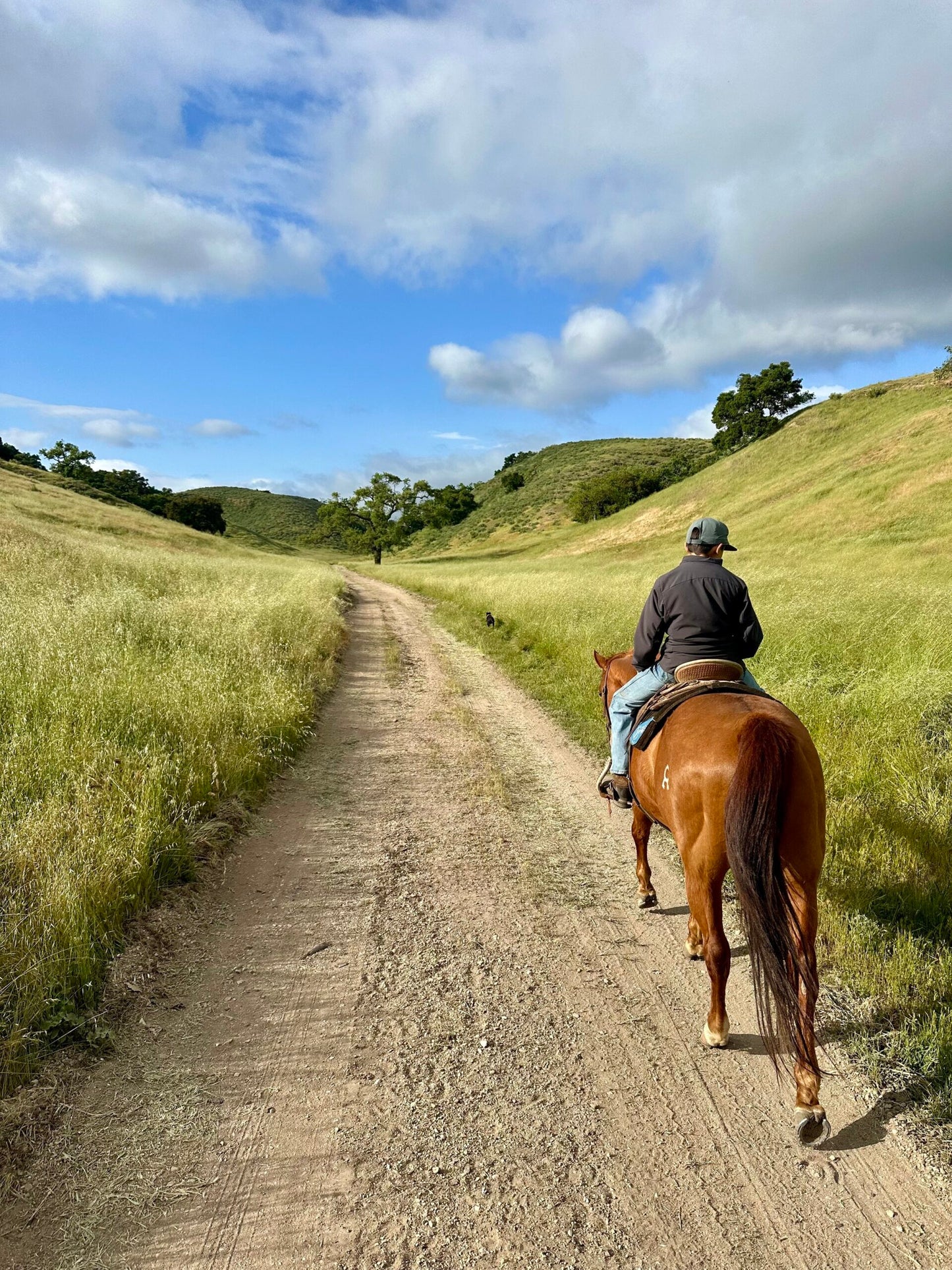 Santa Barbara: Horseback Riding and Wine Tasting Tour