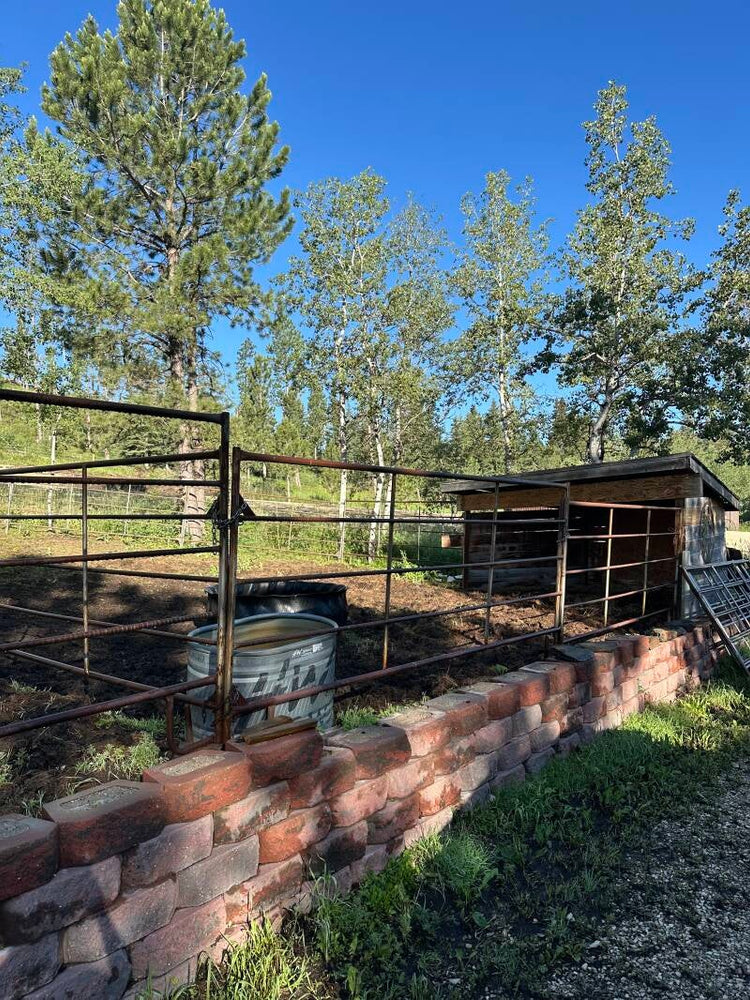 
                      
                        Castle Creek Horse Cabins
                      
                    