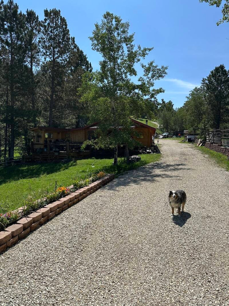 Castle Creek Horse Cabins