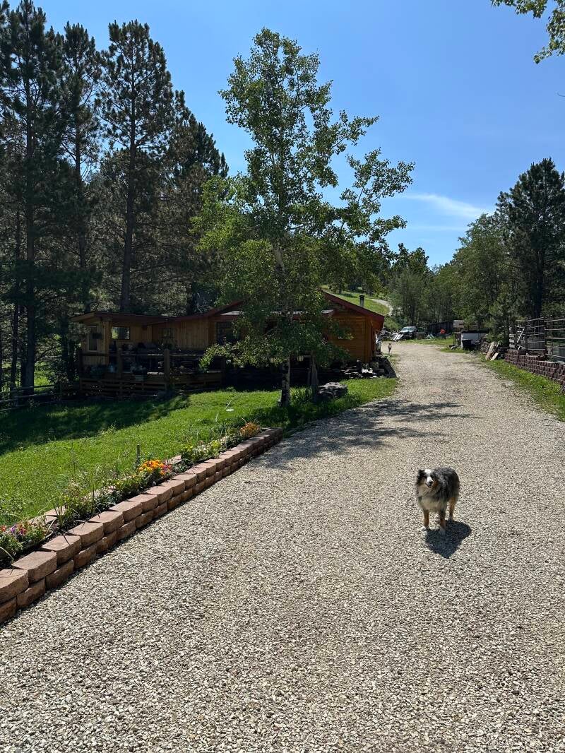 Castle Creek Horse Cabins