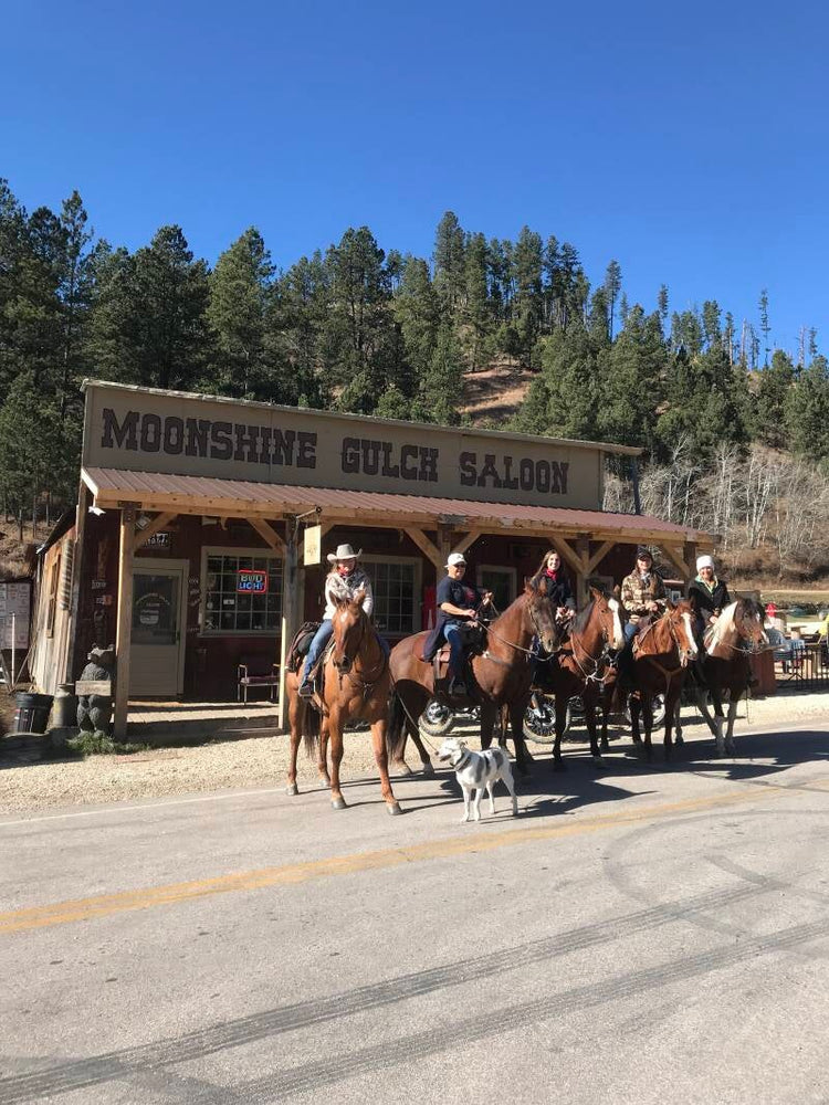 
                      
                        Castle Creek Horse Cabins
                      
                    