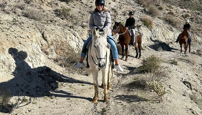 
                      
                        Crazy Horse Ranch
                      
                    