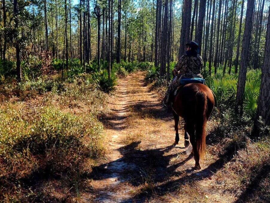 North Florida Horse Motel
