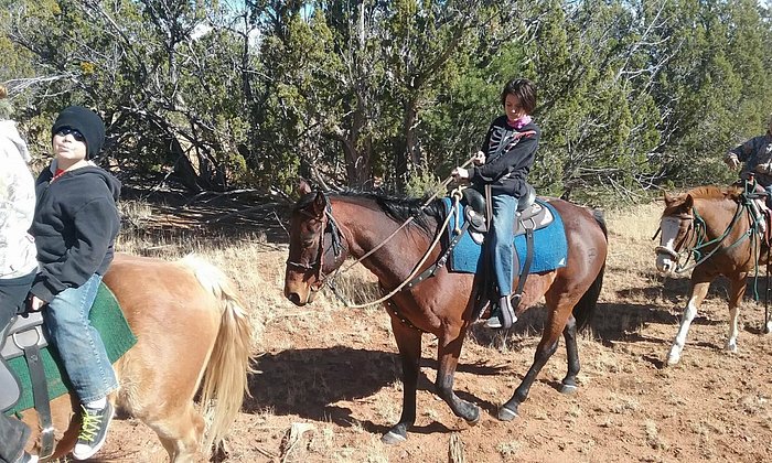 Spencers Rocken Horses