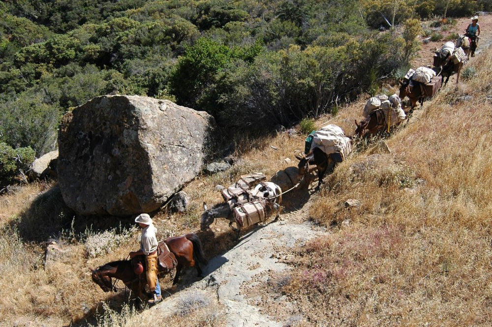 
                      
                        Los Padres Outfitters - CA
                      
                    