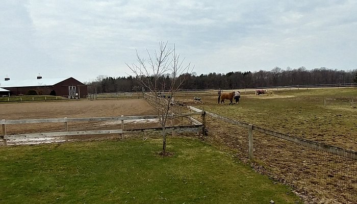 Engleside Stables