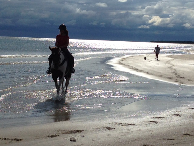 Broke A Toe Horseback Riding on the Beach