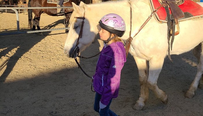 Santa Clarita Valley Equestrian Center