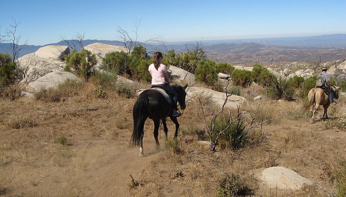 Rancho Bravo
