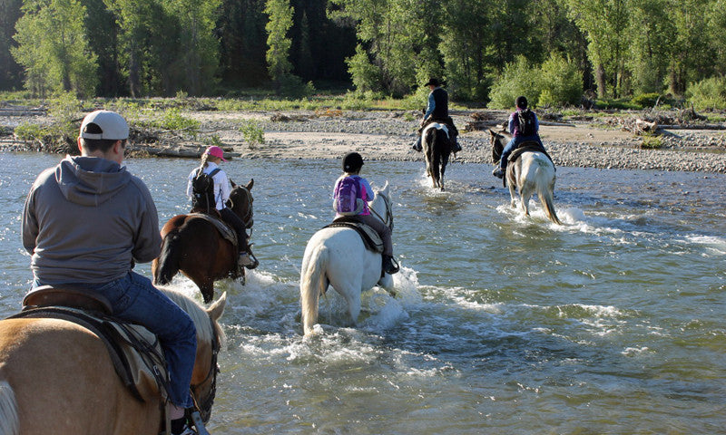 Olympic National Park: Lebar Horse Camp